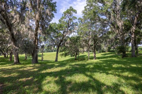 Land in High Springs, Florida № 1245979 - photo 11