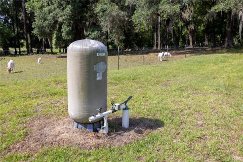 Land in High Springs, Florida № 1245979 - photo 20