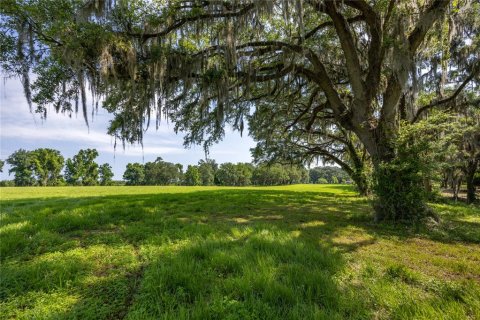 Land in High Springs, Florida № 1245979 - photo 13