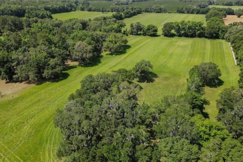 Land in High Springs, Florida № 1245979 - photo 6