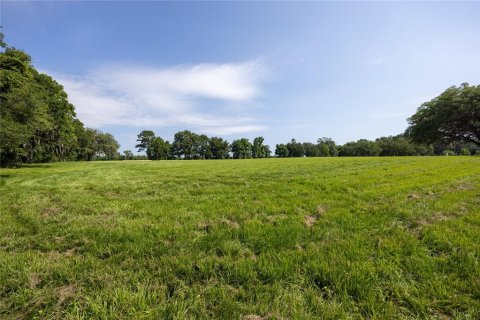 Land in High Springs, Florida № 1245979 - photo 15