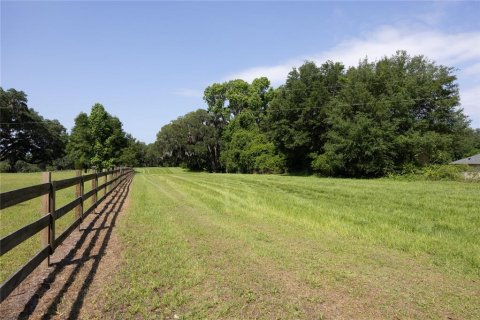 Land in High Springs, Florida № 1245979 - photo 5