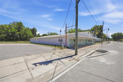 Propiedad comercial en venta en Hawthorne, Florida, 682.83 m2 № 2166649 - foto 15