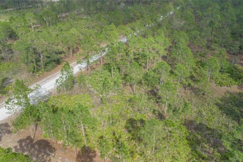 Land in Indian lake estates, Florida № 2163822 - photo 2