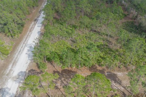 Land in Indian lake estates, Florida № 2163822 - photo 7