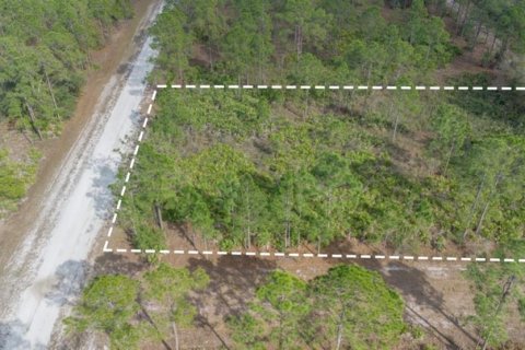 Land in Indian lake estates, Florida № 2163822