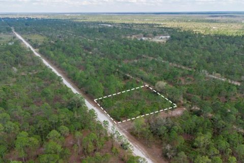 Land in Indian lake estates, Florida № 2163822 - photo 4