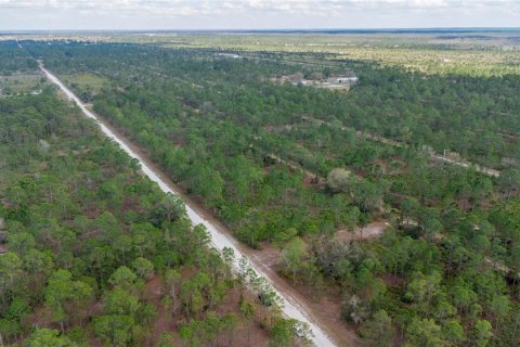 Land in Indian lake estates, Florida № 2163822 - photo 5