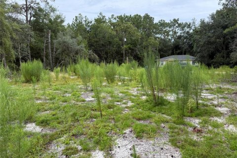 Land in Interlachen, Florida № 1893617 - photo 8