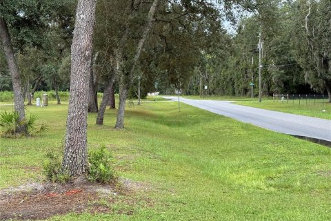 Land in Interlachen, Florida № 1893617 - photo 15
