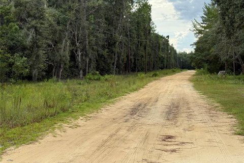Land in Interlachen, Florida № 1893617 - photo 13