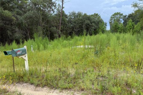 Land in Interlachen, Florida № 1893617 - photo 1