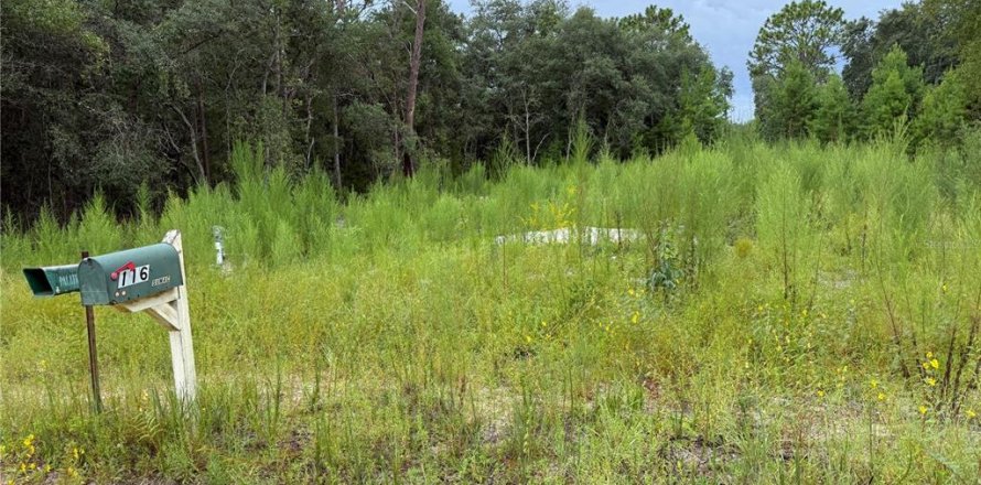Land in Interlachen, Florida № 1893617