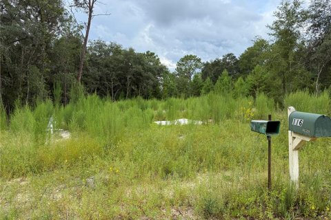 Land in Interlachen, Florida № 1893617 - photo 2
