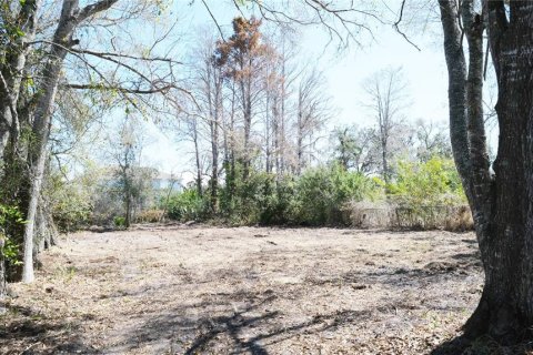 Terreno en venta en Sarasota, Florida № 2118271 - foto 3