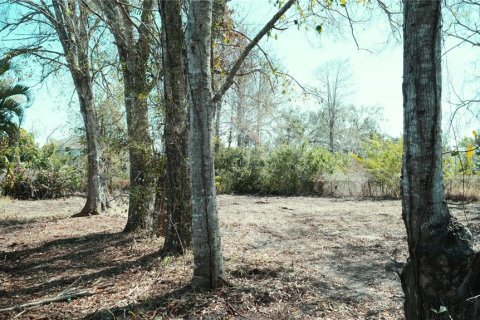 Terreno en venta en Sarasota, Florida № 2118271 - foto 4