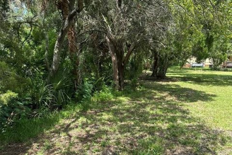 Terrain à vendre à Hudson, Floride № 1916769 - photo 3