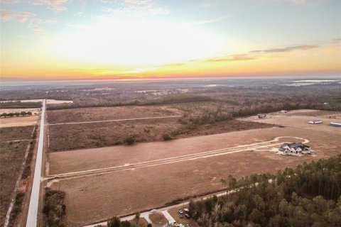 Land in Brooksville, Florida № 2143493 - photo 2