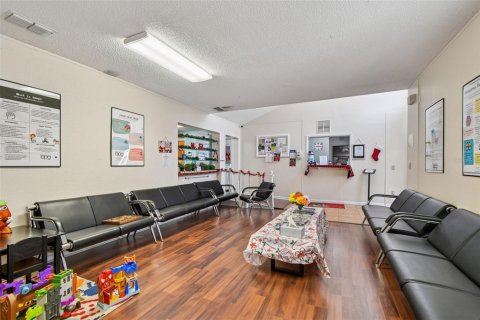 Immobilier commercial à vendre à Safety Harbor, Floride: 354.14 m2 № 2198972 - photo 6