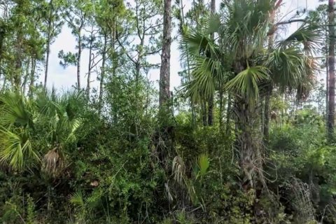 Land in North Port, Florida № 2162510 - photo 3
