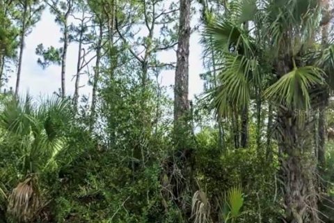 Land in North Port, Florida № 2162510