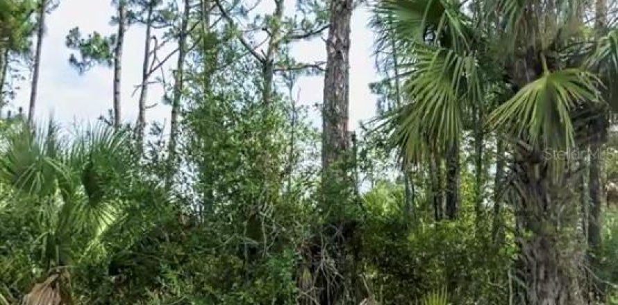Land in North Port, Florida № 2162510
