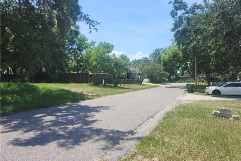 Land in Lake Alfred, Florida № 1848672 - photo 5