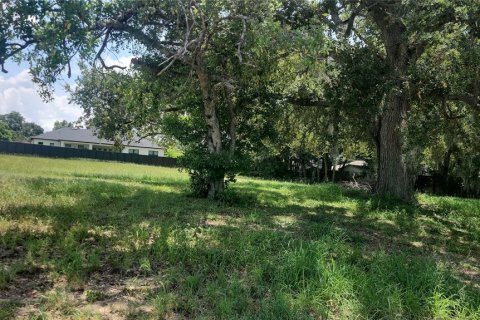 Land in Lake Alfred, Florida № 1848672 - photo 1