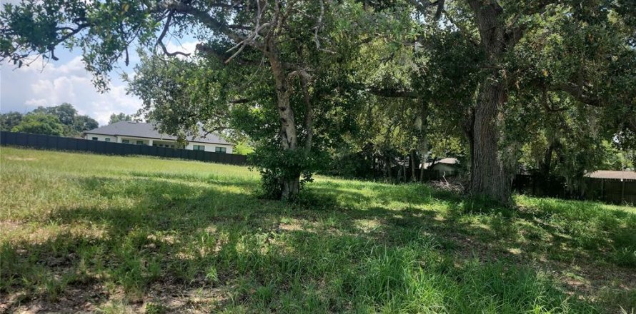 Land in Lake Alfred, Florida № 1848672