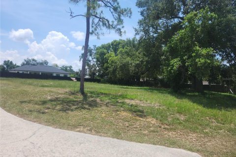 Land in Lake Alfred, Florida № 1848672 - photo 2
