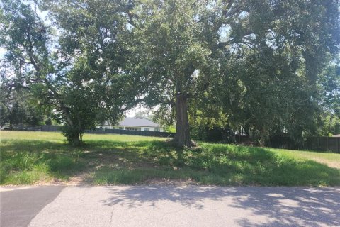 Land in Lake Alfred, Florida № 1848672 - photo 4