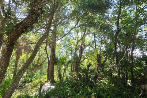Casa en venta en DeLand, Florida, 3 dormitorios, 154.4 m2 № 2201051 - foto 11