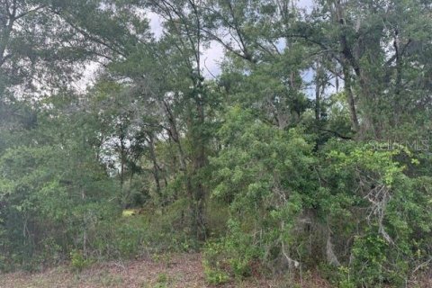 Terrain à vendre à Melrose, Floride № 2217945 - photo 2