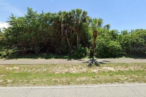 Land in Port Charlotte, Florida № 2160278 - photo 4