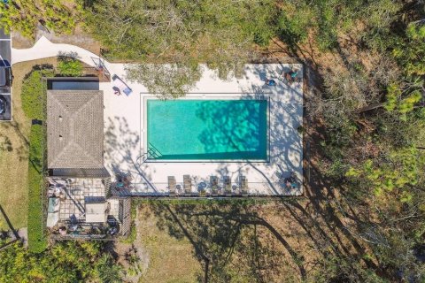 Adosado en alquiler en Oldsmar, Florida, 2 dormitorios, 111.48 m2 № 1917386 - foto 21