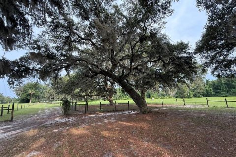 House in Palatka, Florida 3 bedrooms, 178.37 sq.m. № 1777037 - photo 25