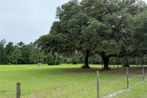 House in Palatka, Florida 3 bedrooms, 178.37 sq.m. № 1777037 - photo 8