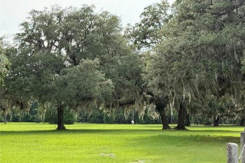 House in Palatka, Florida 3 bedrooms, 178.37 sq.m. № 1777037 - photo 17