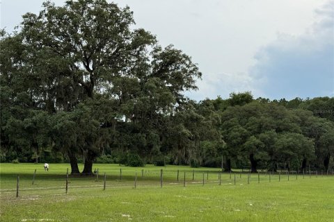 House in Palatka, Florida 3 bedrooms, 178.37 sq.m. № 1777037 - photo 26