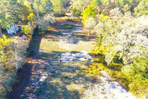 Land in Spring Hill, Florida № 1252846 - photo 2