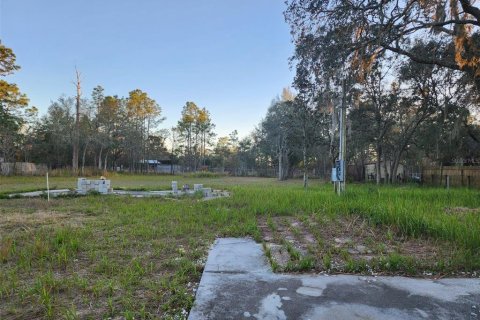 Land in Spring Hill, Florida № 1252846 - photo 1
