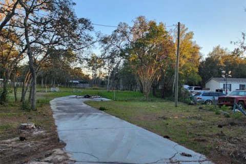 Land in Spring Hill, Florida № 1252846 - photo 5