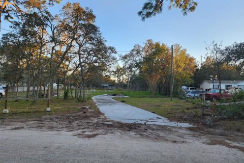 Land in Spring Hill, Florida № 1252846 - photo 4