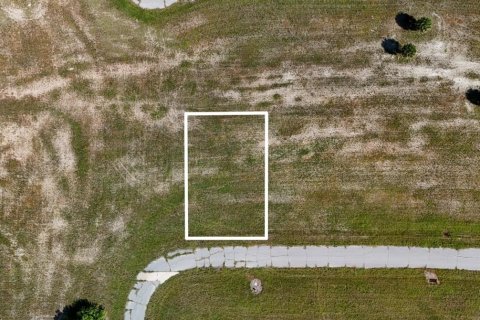 Land in Placida, Florida № 2221205