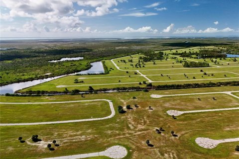 Land in Placida, Florida № 2221205 - photo 10