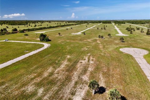 Land in Placida, Florida № 2221205 - photo 5