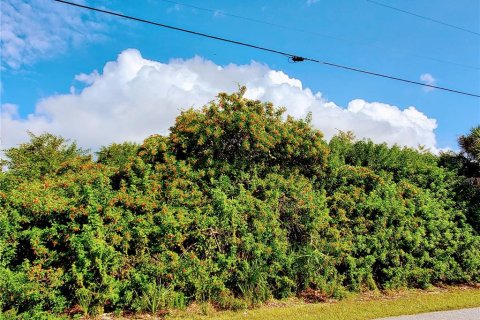 Land in Englewood, Florida № 296368 - photo 9