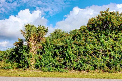 Land in Englewood, Florida № 296368 - photo 10