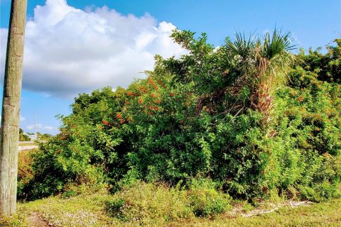 Land in Englewood, Florida № 296368 - photo 11