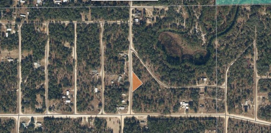 Land in Interlachen, Florida № 2162687
